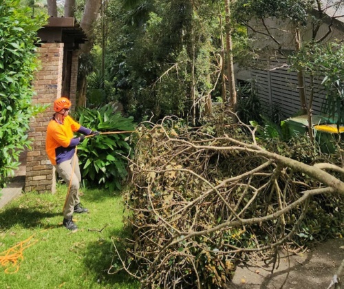 24 Hour Emergency Tree Service