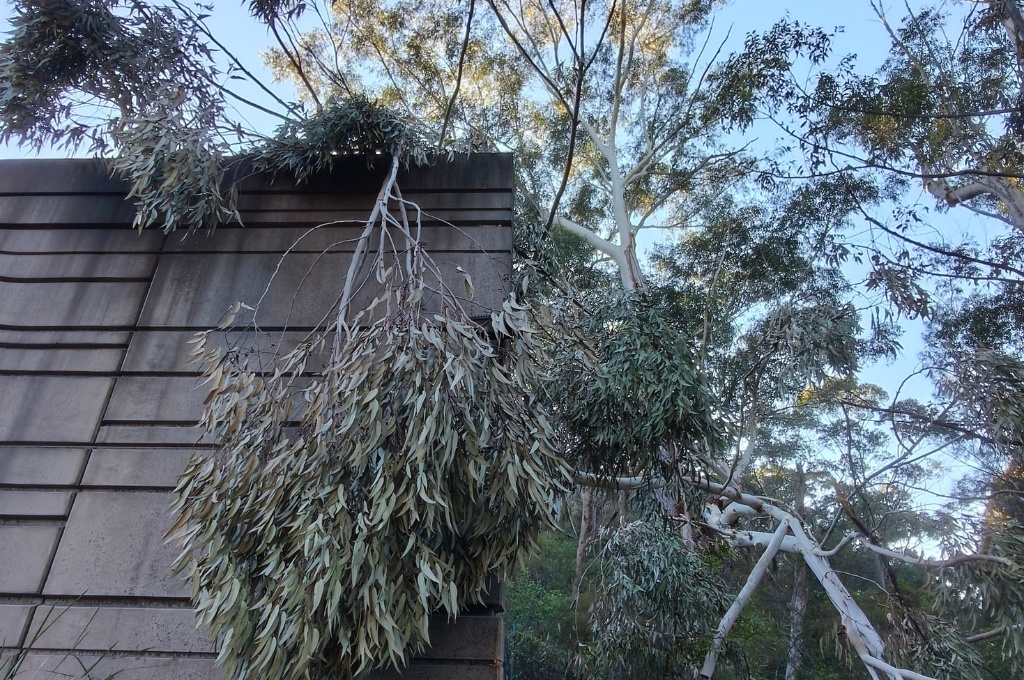 Emergency Storm Preparation Checklist