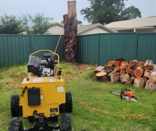 Stump Grinding