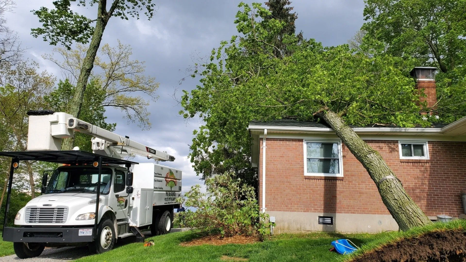 Emergency Storm Cleanup